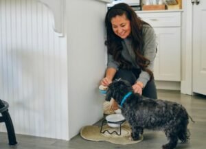 Kidney Diet for Dogs | PetMD